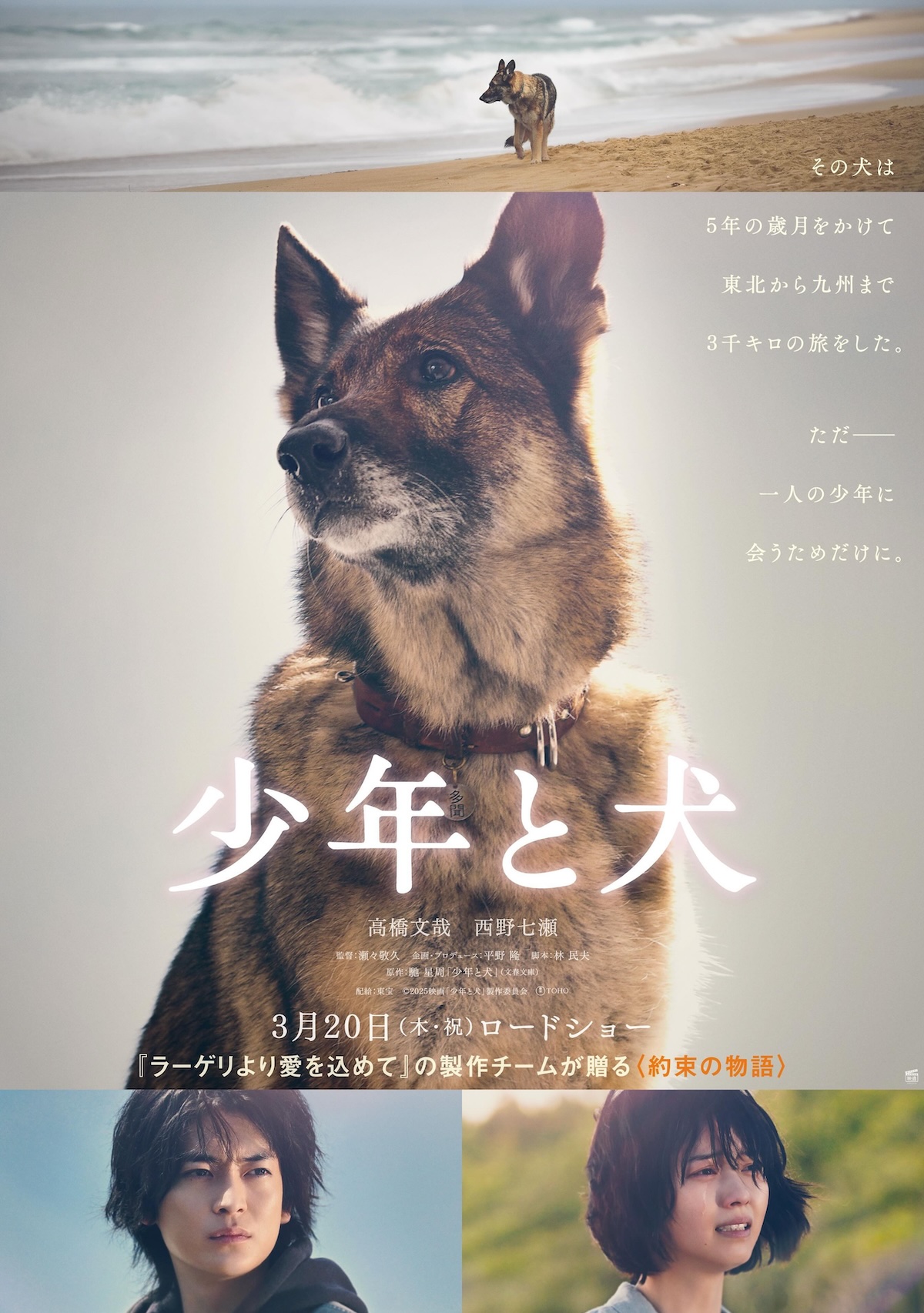 Trailer and poster for the film “The Boy and the Dog”