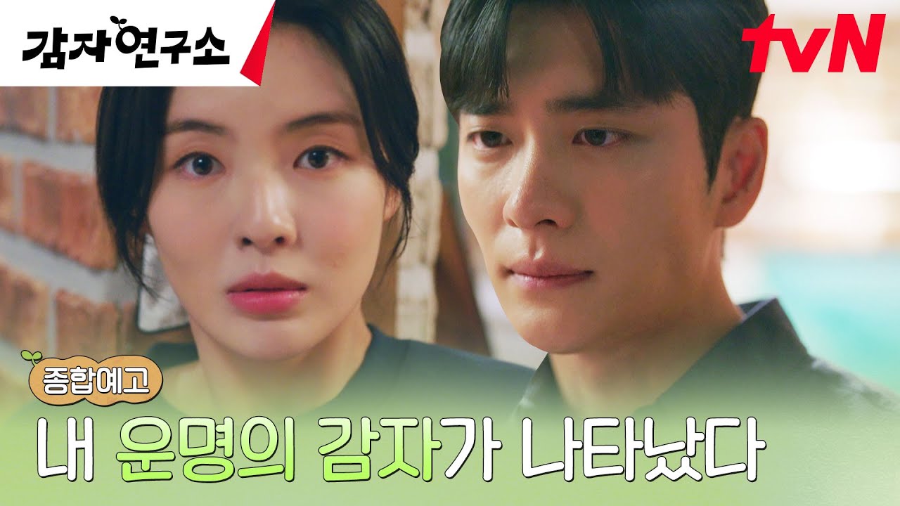 The main trailer for TVN drama “The Potato Lab”