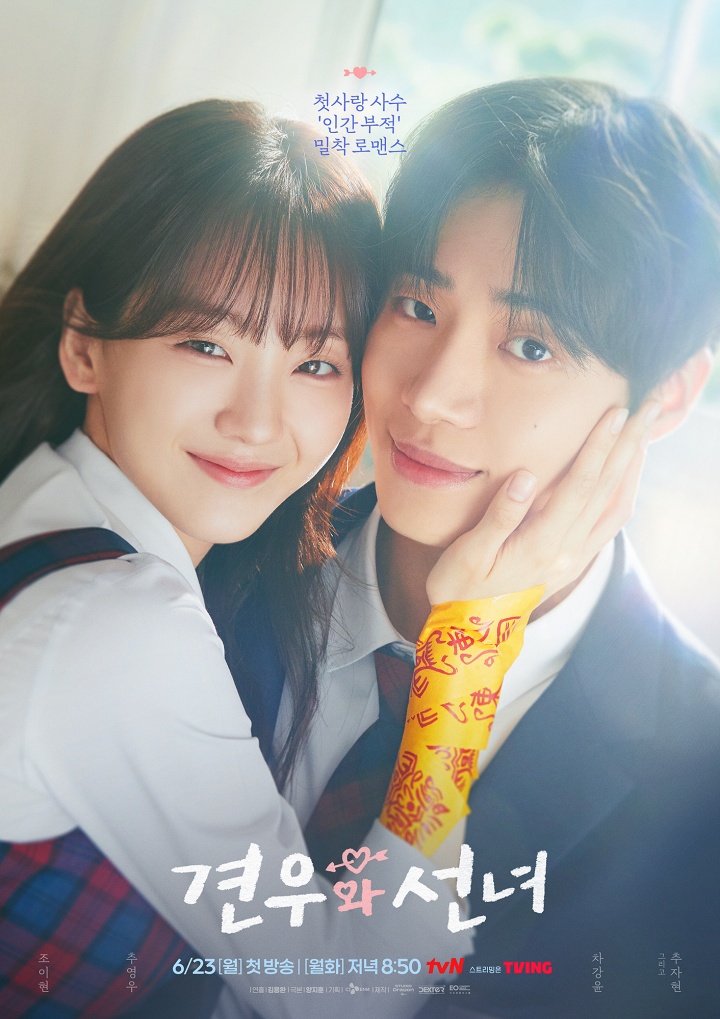 Teaser trailer for TVN drama “Head Over Heels”